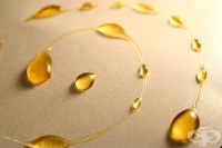 ����������������� �� ������ �� ������� ������ �����������, �� �� ����� ������������ ������ ����������� ������